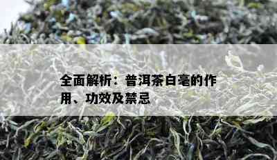 全面解析：普洱茶白毫的作用、功效及禁忌