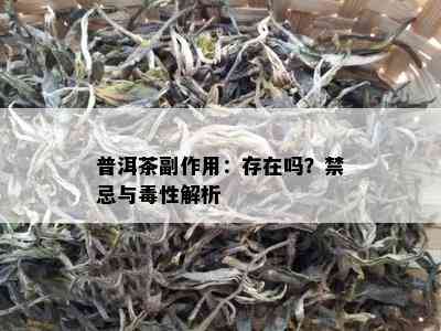 普洱茶副作用：存在吗？禁忌与性解析