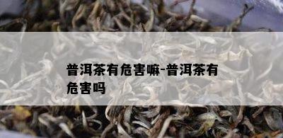 普洱茶有危害嘛-普洱茶有危害吗