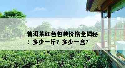 普洱茶红色包装价格全揭秘：多少一斤？多少一盒？