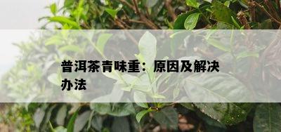 普洱茶青味重：原因及解决办法