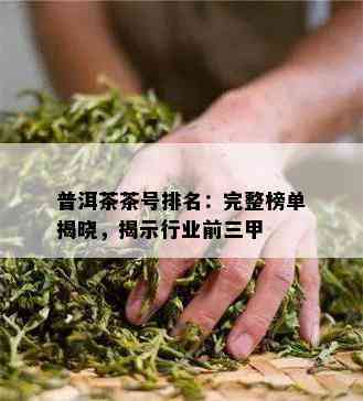 普洱茶茶号排名：完整榜单揭晓，揭示行业前三甲