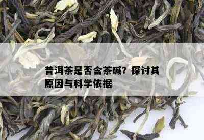 普洱茶是否含茶碱？探讨其原因与科学依据