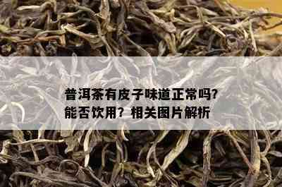 普洱茶有皮子味道正常吗？能否饮用？相关图片解析