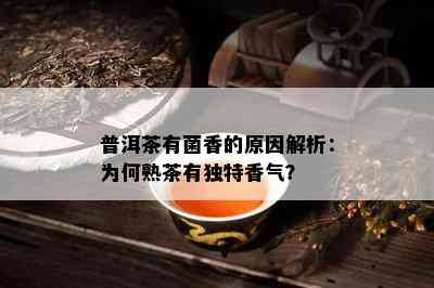 普洱茶有菌香的起因解析：为何熟茶有特别香气？