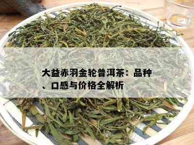 大益赤羽金轮普洱茶：品种、口感与价格全解析