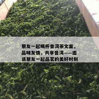 朋友一起喝杯普洱茶文案，品味友情，共享普洱——邀请朋友一起品茗的美好时刻