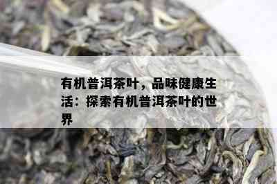 有机普洱茶叶，品味健康生活：探索有机普洱茶叶的世界