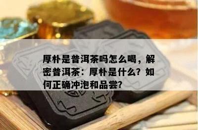 厚朴是普洱茶吗怎么喝，解密普洱茶：厚朴是什么？如何正确冲泡和品尝？