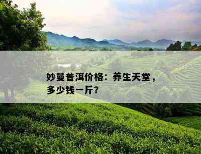 妙曼普洱价格：养生天堂，多少钱一斤？