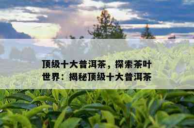 顶级十大普洱茶，探索茶叶世界：揭秘顶级十大普洱茶