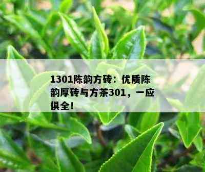 1301陈韵方砖：优质陈韵厚砖与方茶301，一应俱全！