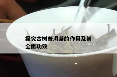 探究古树普洱茶的作用及其全面功效