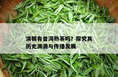 清朝有普洱熟茶吗？探究其历史渊源与传播发展