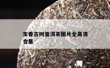 玉香古树普洱茶图片全高清合集