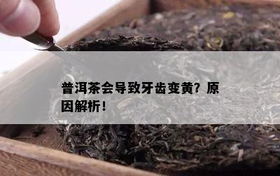 普洱茶会引起牙齿变黄？起因解析！