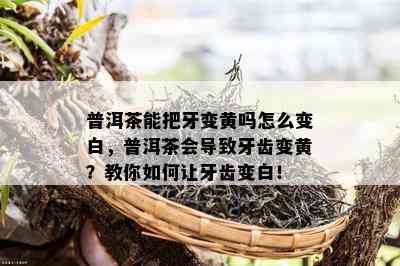 普洱茶能把牙变黄吗怎么变白，普洱茶会引起牙齿变黄？教你怎样让牙齿变白！