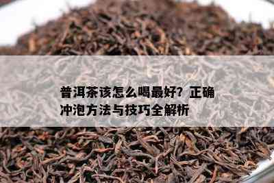 普洱茶该怎么喝更好？正确冲泡方法与技巧全解析