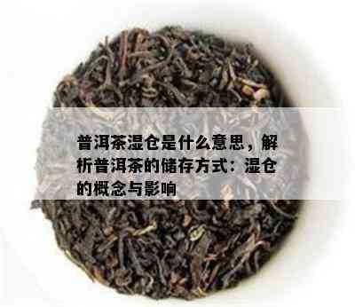 普洱茶湿仓是什么意思，解析普洱茶的储存方法：湿仓的概念与作用