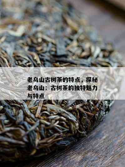 老乌山古树茶的特点，探秘老乌山：古树茶的特别魅力与特点