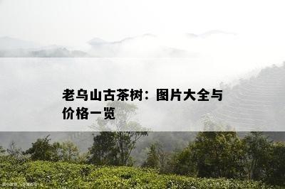 老乌山古茶树：图片大全与价格一览