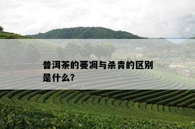 普洱茶的萎凋与杀青的区别是什么？