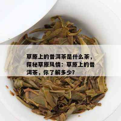 草原上的普洱茶是什么茶，探秘草原风情：草原上的普洱茶，你熟悉多少？