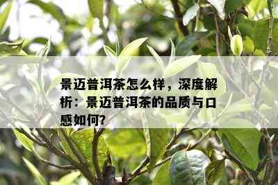 景迈普洱茶怎么样，深度解析：景迈普洱茶的品质与口感如何？