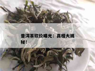 普洱茶砍价曝光：真相大揭秘！