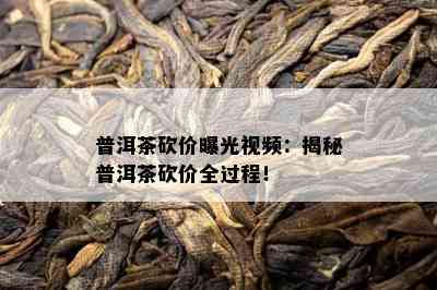 普洱茶砍价曝光视频：揭秘普洱茶砍价全过程！