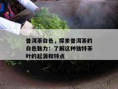 普洱茶白色，探索普洱茶的白色魅力：熟悉这类特别茶叶的起源和特点