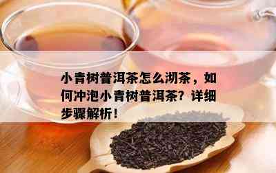 小青树普洱茶怎么沏茶，怎样冲泡小青树普洱茶？详细步骤解析！