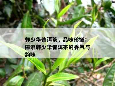 郭少华普洱茶，品味珍馐：探索郭少华普洱茶的香气与韵味