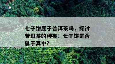 七子饼属于普洱茶吗，探讨普洱茶的种类：七子饼是否属于其中？