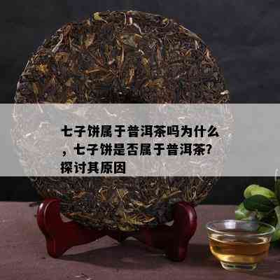 七子饼属于普洱茶吗为什么，七子饼是否属于普洱茶？探讨其原因