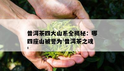 普洱茶四大山系全揭秘：哪四座山被誉为'普洱茶之魂'