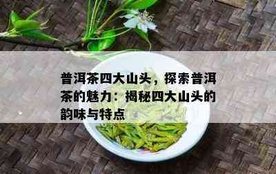 普洱茶四大山头，探索普洱茶的魅力：揭秘四大山头的韵味与特点