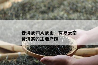 普洱茶四大茶山：探寻云南普洱茶的主要产区