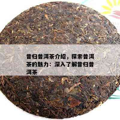 昔归普洱茶介绍，探索普洱茶的魅力：深入熟悉昔归普洱茶