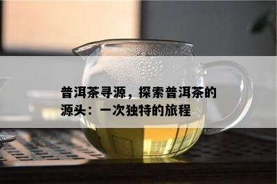 普洱茶寻源，探索普洱茶的源头：一次特别的旅程