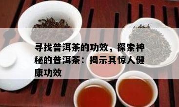 寻找普洱茶的功效，探索神秘的普洱茶：揭示其惊人健康功效