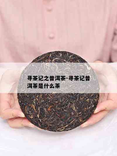 寻茶记之普洱茶-寻茶记普洱茶是什么茶