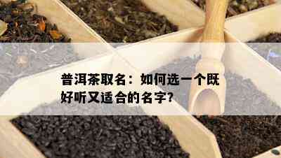 普洱茶取名：怎样选一个既好听又适合的名字？