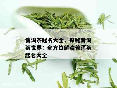 普洱茶起名大全，探秘普洱茶世界：全方位解读普洱茶起名大全