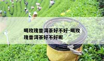 喝玫瑰普洱茶好不好-喝玫瑰普洱茶好不好呢