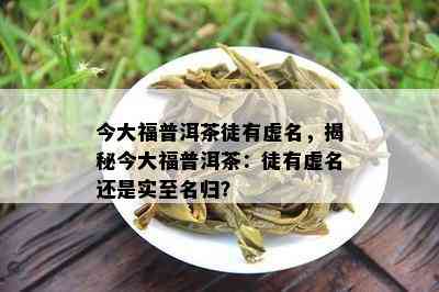 今大福普洱茶徒有虚名，揭秘今大福普洱茶：徒有虚名还是实至名归？