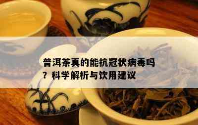 普洱茶真的能抗冠状病吗？科学解析与饮用建议