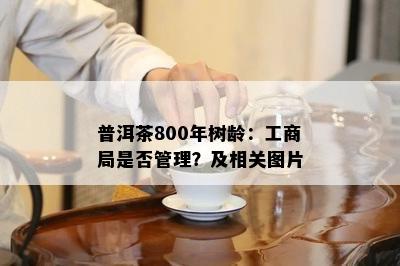 普洱茶800年树龄：工商局是否管理？及相关图片