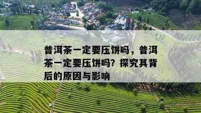 普洱茶一定要压饼吗，普洱茶一定要压饼吗？探究其背后的起因与作用