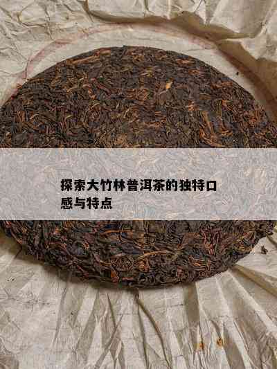 探索大竹林普洱茶的独特口感与特点